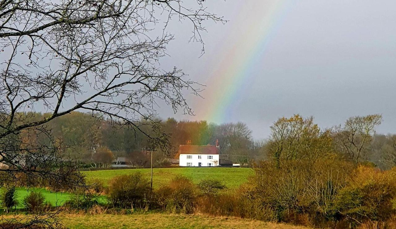 Pigeonwood House Bed & Breakfast Folkestone Luaran gambar